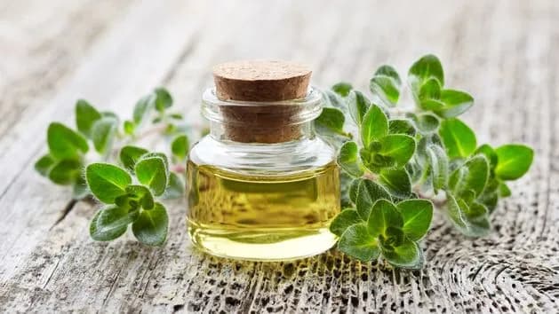 Jak stosować olejek z oregano dla dzieci bezpiecznie i skutecznie