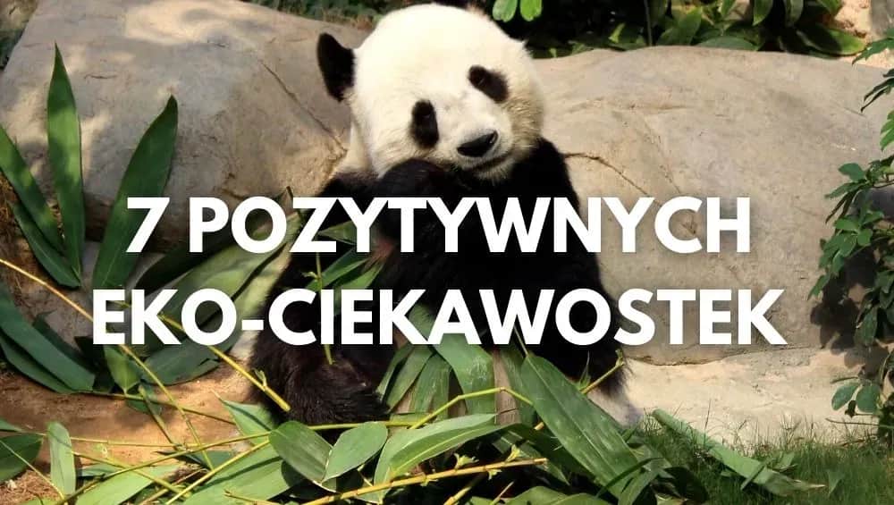 Zaskakujące ciekawostki ekologiczne - fakty, które zmienią twoje życie